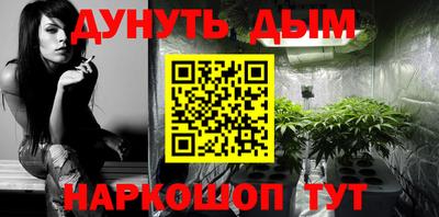 шишки Жуковский