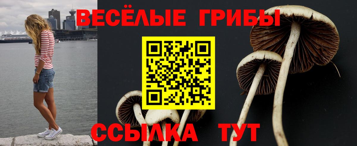 Мурино  Псилоцибиновые грибы Magic Shrooms  Вход с VPN 