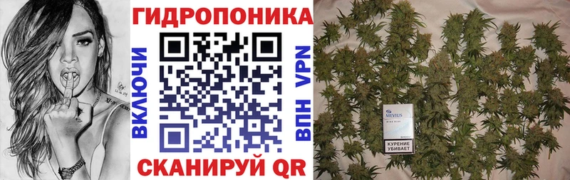 как найти закладки  MEGA онион  Шишки марихуана VHQ  Мурино 
